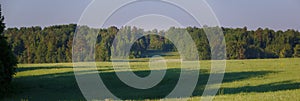 Panorama of the summer forest and fields