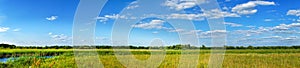 Panorama of a summer meadow against a blue sky with clouds