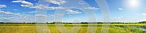 Panorama of a summer meadow against a blue sky with clouds in the sunlight