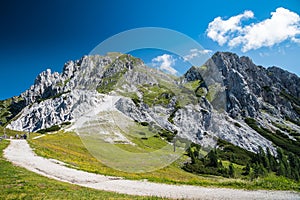 Panorama in summer mountains