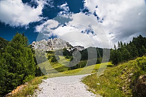 Panorama in summer mountains