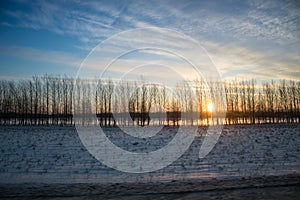 Panorama of the sunrise. Sunrise over the forest belt in front of a snow-covered field in winter, Ulyanovsk Russia