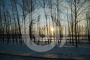 Panorama of the sunrise. Sunrise over the forest belt in front of a snow-covered field in winter, Ulyanovsk Russia