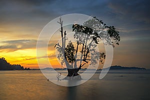 Panorama Sunset Wonderfull Indonesia