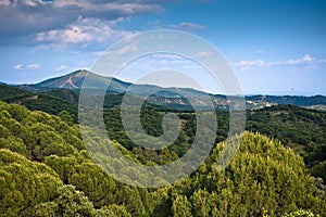 Panorama of surrounding olive groves by Villanueva