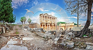 Panorama of surviving ruins of Library of Celsus at Ephesus and seagulls in sky