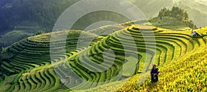 Panorama symbol of Vietnamese rice terraces,Mu cang chai.Yenbai,Vietnam