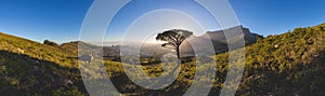 Panorama of Table Mountain in Cape Town at sunrise