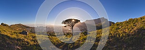 Panorama of Table Mountain in Cape Town at sunrise