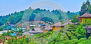 Panorama of tea plantation and resort of Ban Rak Thai Yunnan tea village, Thailand