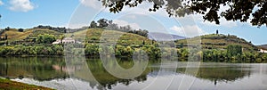 Panorama of terraced vineyards on the side of the River Douro with the Sandemans figure in Portugal