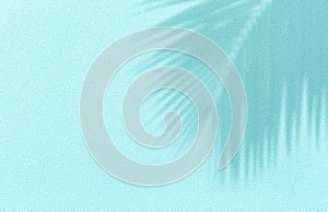 Panorama of texture wall with coconut palm leaf shadow on turquoise background