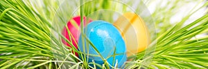 Panorama, three colorful painted easter eggs on green grass