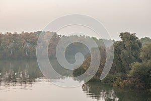 Panorama of the Timis river in pancevo, banat, serbia, with fog, misty and autumn trees in a middle of a swamp in a forest