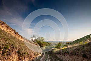 Panorama of Titelski breg, or titel hill, in Vojvodina, Serbia, with a dirtpath countryside road, in an agricultural landscape ay photo