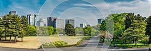 Panorama of Tokyo Skyline in the Imperial Palace East Gardens, Japan