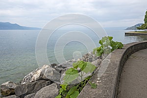 Panorama from town of Vevey to Lake Geneva, Switzerland