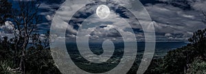 Panorama of tree and boulders against nighttime sky with cloudy.