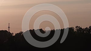 Panorama of tree tops on the outskirts of the city at sunset.