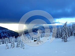 Panorama Of Trees In Snow Mountains 01