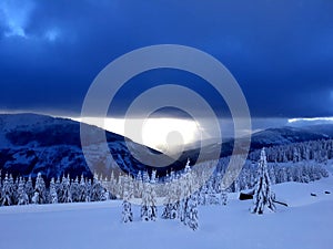 Panorama Of Trees In Snow Mountains 02