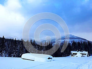 Panorama Of Trees In Snow Mountains 03