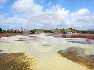 Panorama of tropical coast of the caribbean sea at low tide with tropical clouds and blue sky. Beach, vegetation and coastal