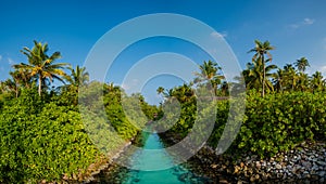 Panorama of the tropical forest with river at Maldives