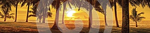 Panorama, tropical sunset. palm trees and the sea. yellow tinting