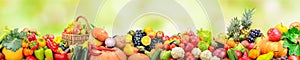 Panorama fruits and vegetables on background green blurred background with beautiful bokeh.