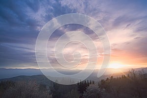 Panorama of the Tuscan hills cherry blossom trees dreamy look in warm sunset light