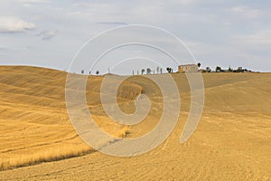 panorama of the Tuscan hills in summer at sunset