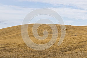 panorama of the Tuscan hills in summer at sunset