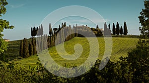 Panorama of Tuscan landscape in Val d\'Orcia, Tuscany