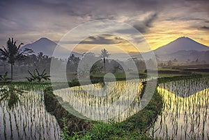 Panorama two big mountains Sindoro and Sumbing in the morning at sunrise