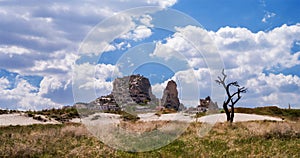 Panorama with Uchisar castle and silhouette of a dry tree in Cappadocia, Turkey