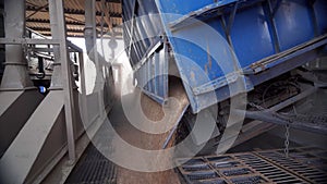 Panorama of unloading grain trucks at elevator on elevating hydraulic platform unloader. Grain crops transshipment at