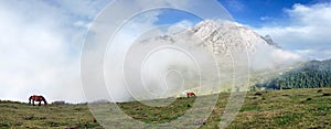 Panorama of Urkiola mountains with fog and horses