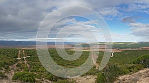 Panorama of vast African bushveld landscape on sunny day
