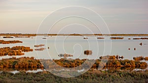 panorama of the Venetian lagoon, natural barrier of Venice, on the Taglio Del Sile road near Jesolo mare.