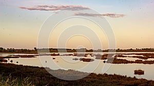 panorama of the Venetian lagoon, natural barrier of Venice, on the Taglio Del Sile road near Jesolo mare photo