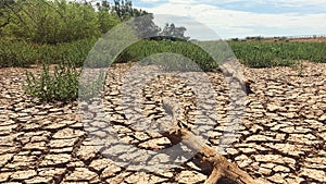 Panorama of a verdant shoreline of a dried up lake bed in the old Southwest