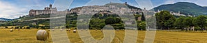 A panorama view across a field of hay towards the hill town of Assisi, Umbria, Italy