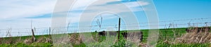 Panorama view barbed wire fencing and post under sunny cloud blue sky over free ranch farming cattle cow grazing in rural location