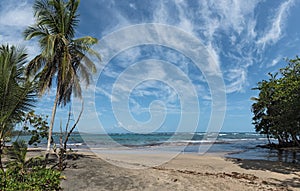 Panorama view of a beach with palm trees south of Puerto Viejo de Talamanca, Costa Rica