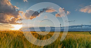 Panorama view of beautiful countryside scene cultivated fields with wind turbines. Landscape with green wheat field in countryside