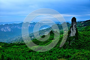 Panorama view of beautiful forest and grand canyon landscape with a dramatical cliff photo