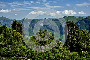 Panorama view of beautiful forest and grand canyon landscape