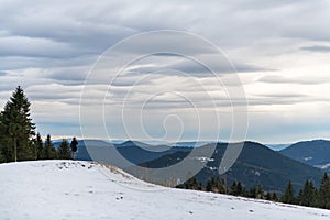 Panorama view of the black forrest in germany