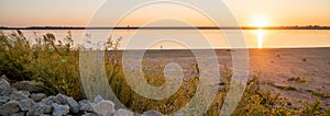 Panorama view blooming wildflower at rocky bank of Grapevine Lake, Texas, US with first appearance of light the sky at dawn,